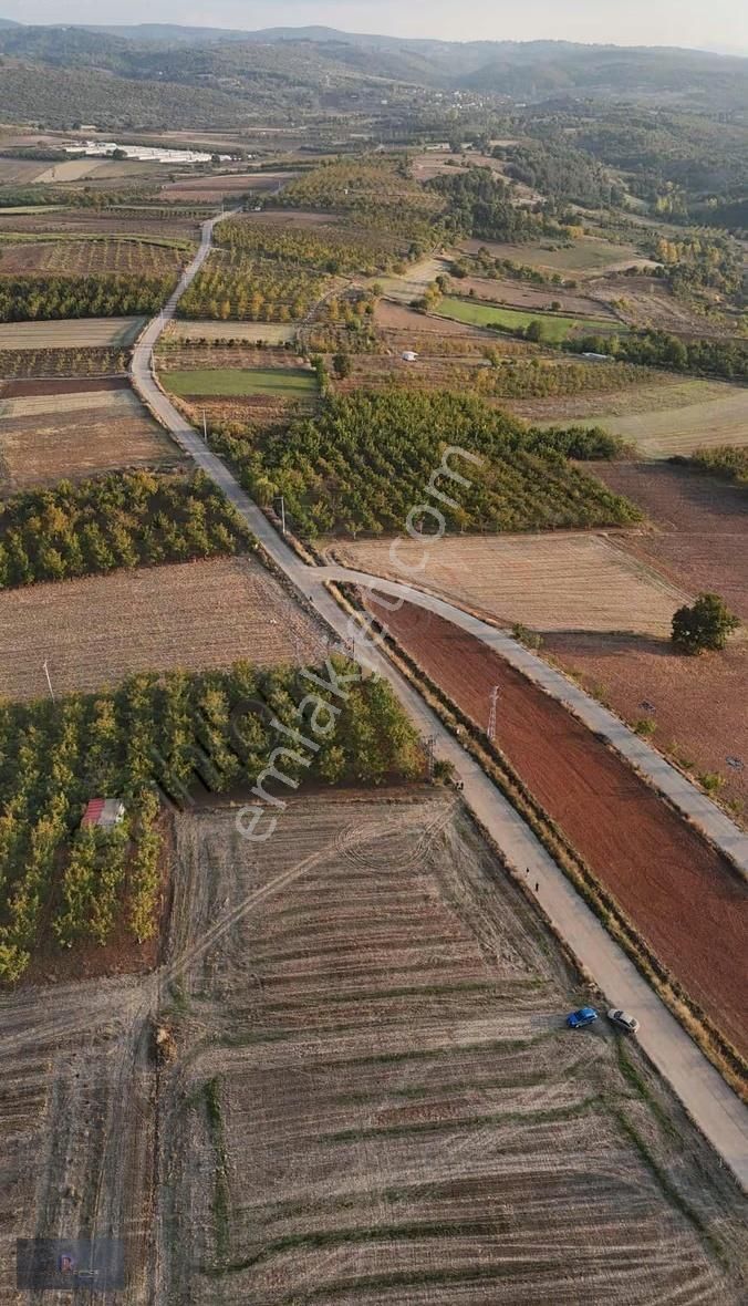 Yenişehir De Her Bütçeye Uygun Satılık Hobi Bahçeleri & Tarlalar - Görsel 13