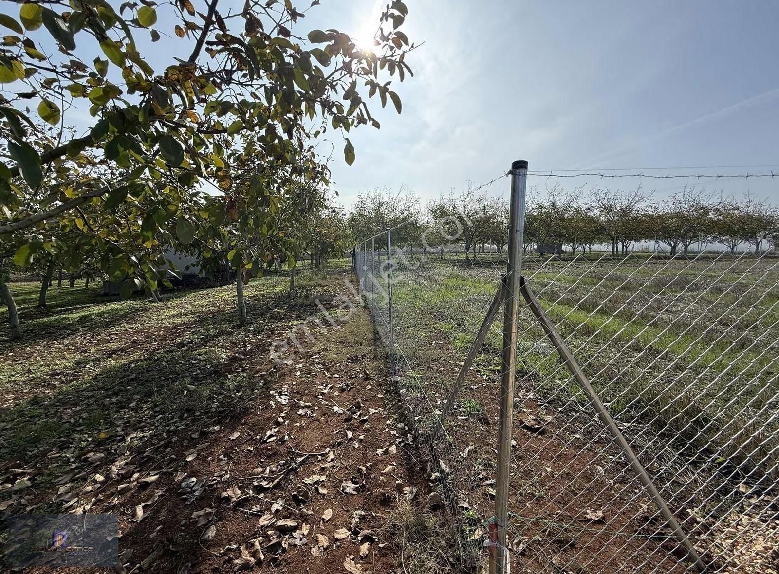 Yenişehir De Her Bütçeye Uygun Satılık Hobi Bahçeleri & Tarlalar - Görsel 11