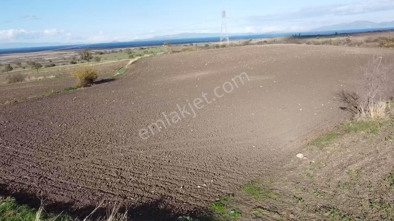 Çanakkale Biga Koruoba Köyünde Deniz Manzaralı Tarla - Görsel 15