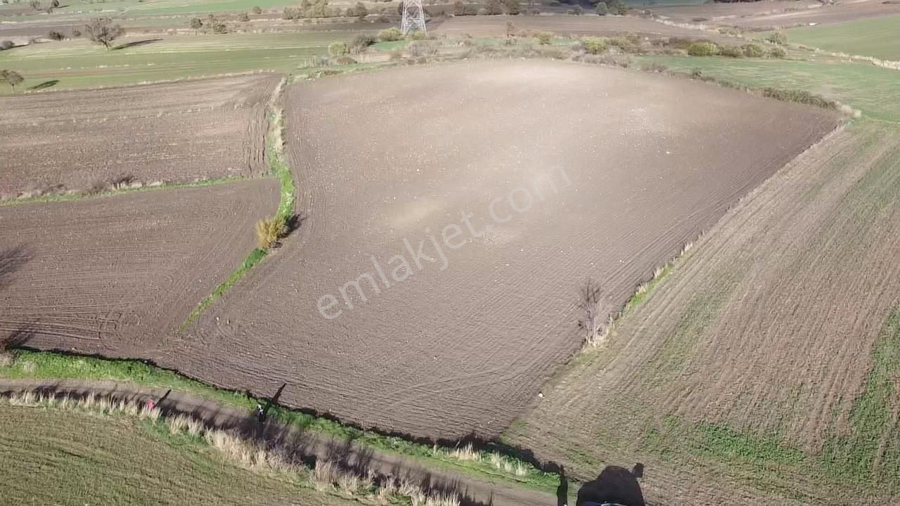 Çanakkale Biga Koruoba Köyünde Deniz Manzaralı Tarla - Görsel 11
