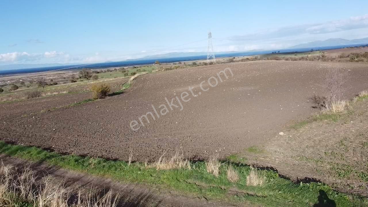 Çanakkale Biga Koruoba Köyünde Deniz Manzaralı Tarla - Görsel 13