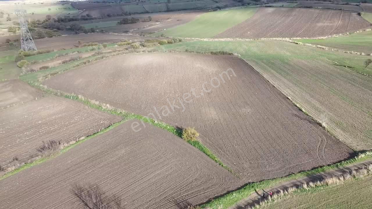 Çanakkale Biga Koruoba Köyünde Deniz Manzaralı Tarla - Görsel 10