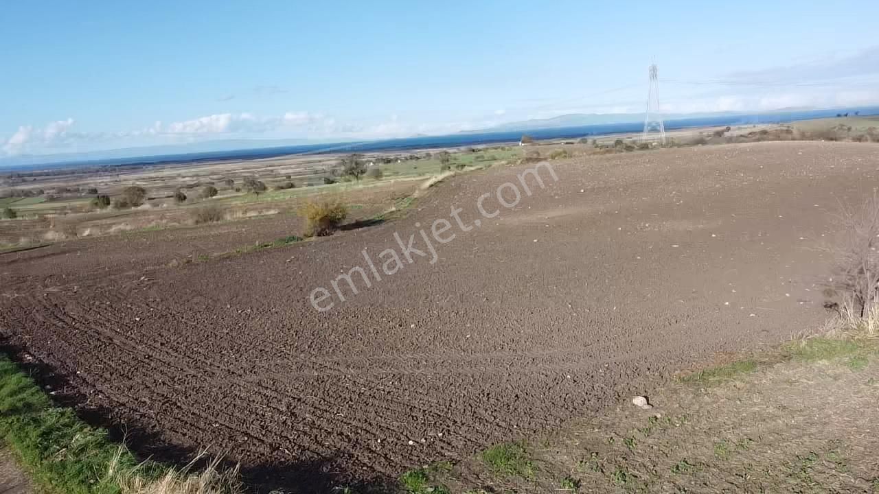 Çanakkale Biga Koruoba Köyünde Deniz Manzaralı Tarla - Görsel 17