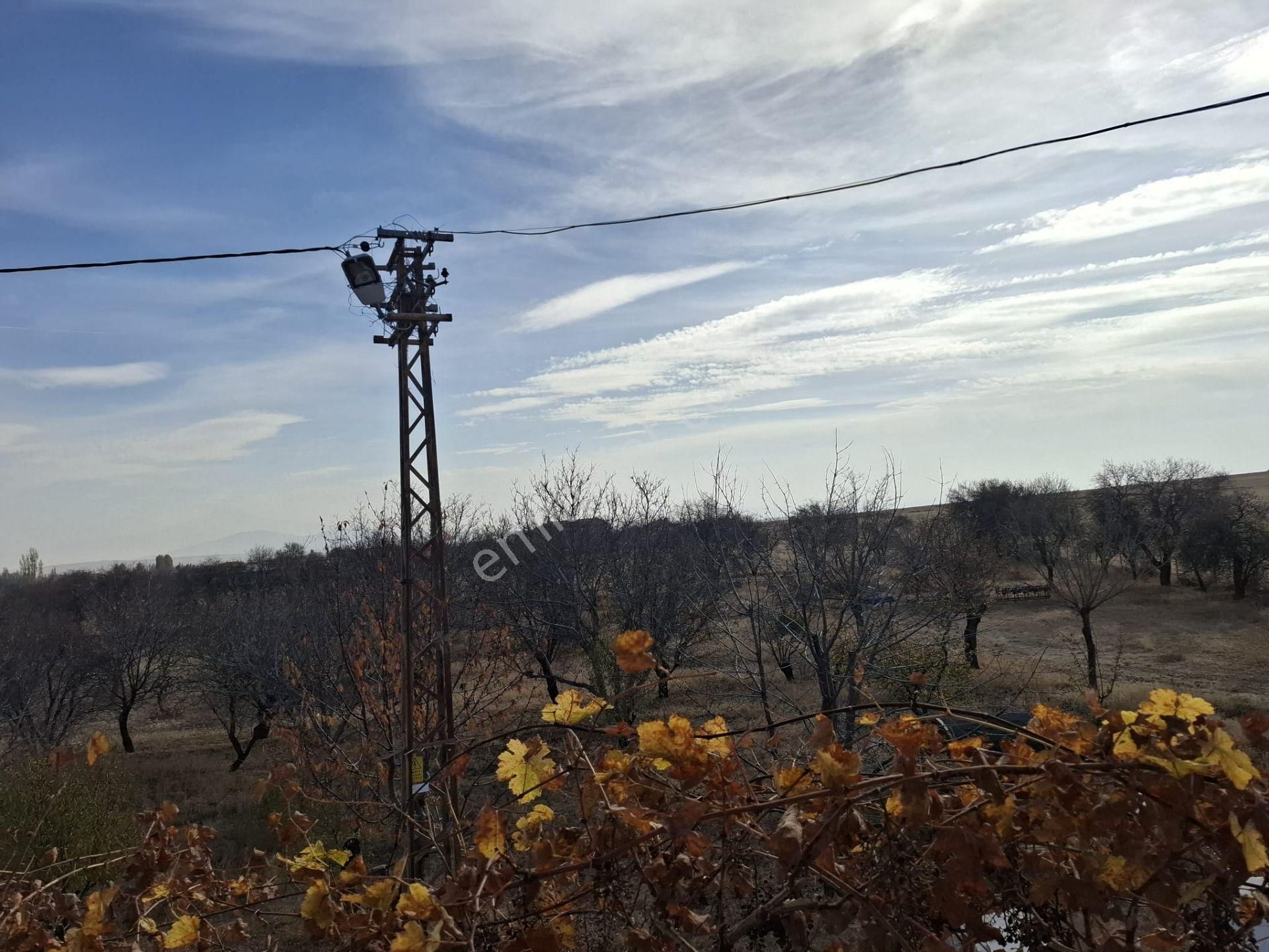 Kocasinan Kaş Köyde İçinde Ev Olan 14596m2 Kiralık Çiftlik - Görsel 8