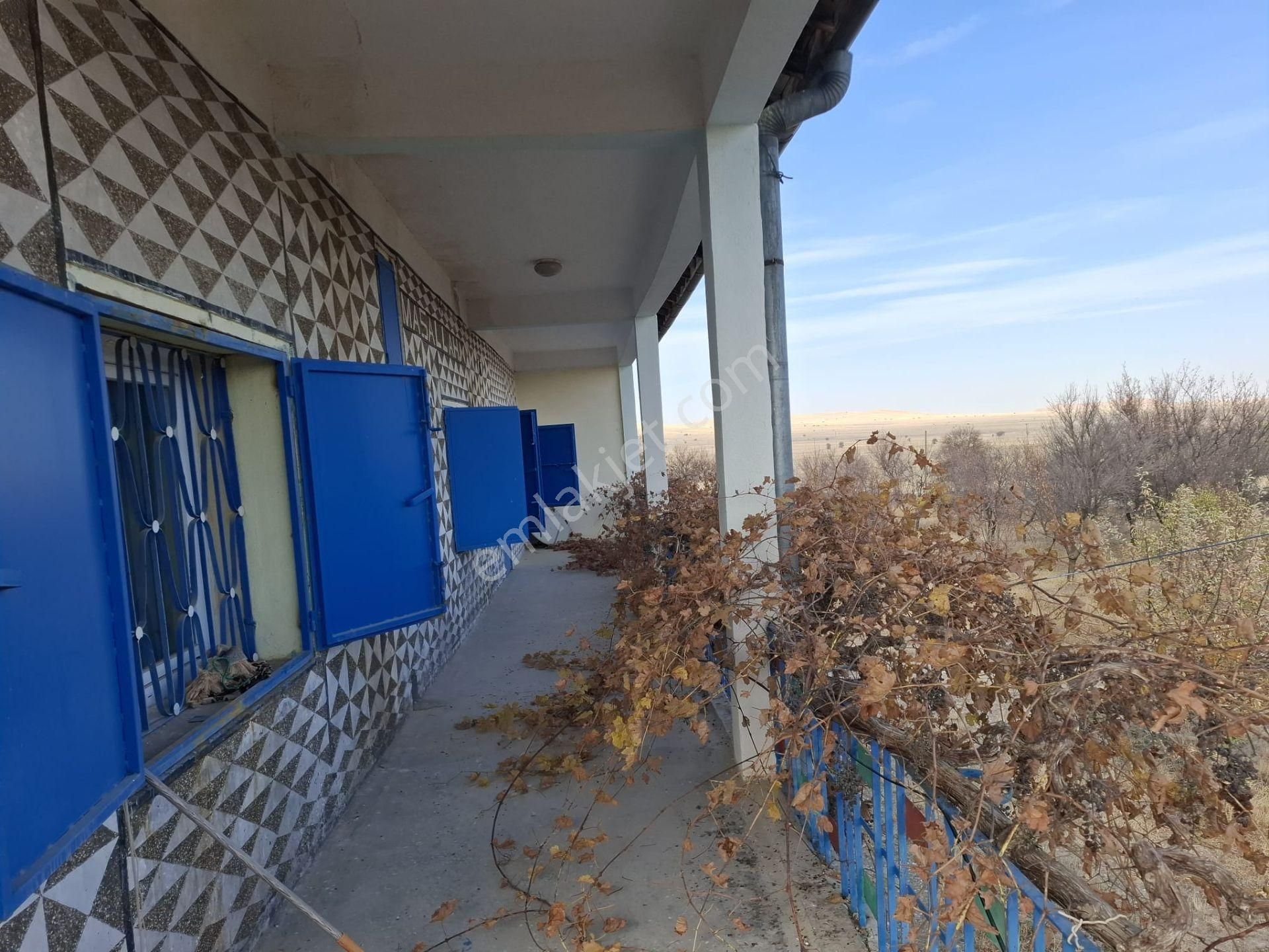 Kocasinan Kaş Köyde İçinde Ev Olan 14596m2 Kiralık Çiftlik - Görsel 4