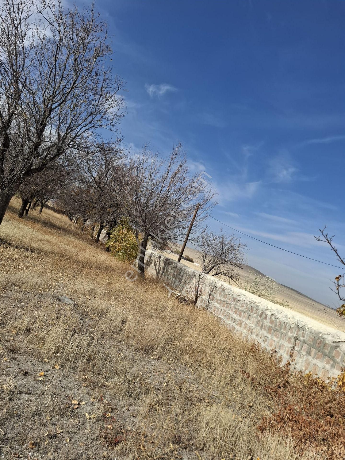 Kocasinan Kaş Köyde İçinde Ev Olan 14596m2 Kiralık Çiftlik - Görsel 29