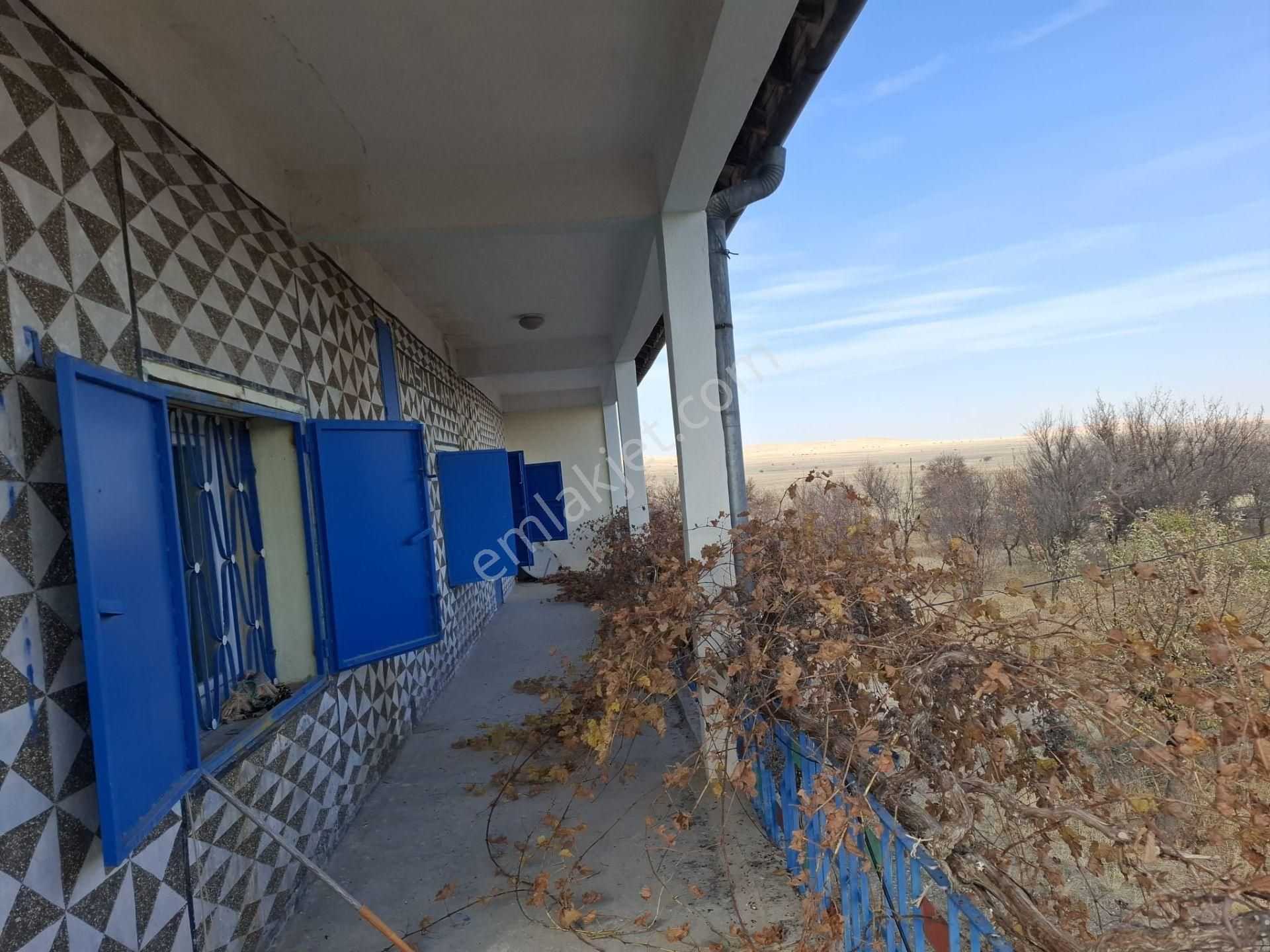 Kocasinan Kaş Köyde İçinde Ev Olan 14596m2 Kiralık Çiftlik - Görsel 19