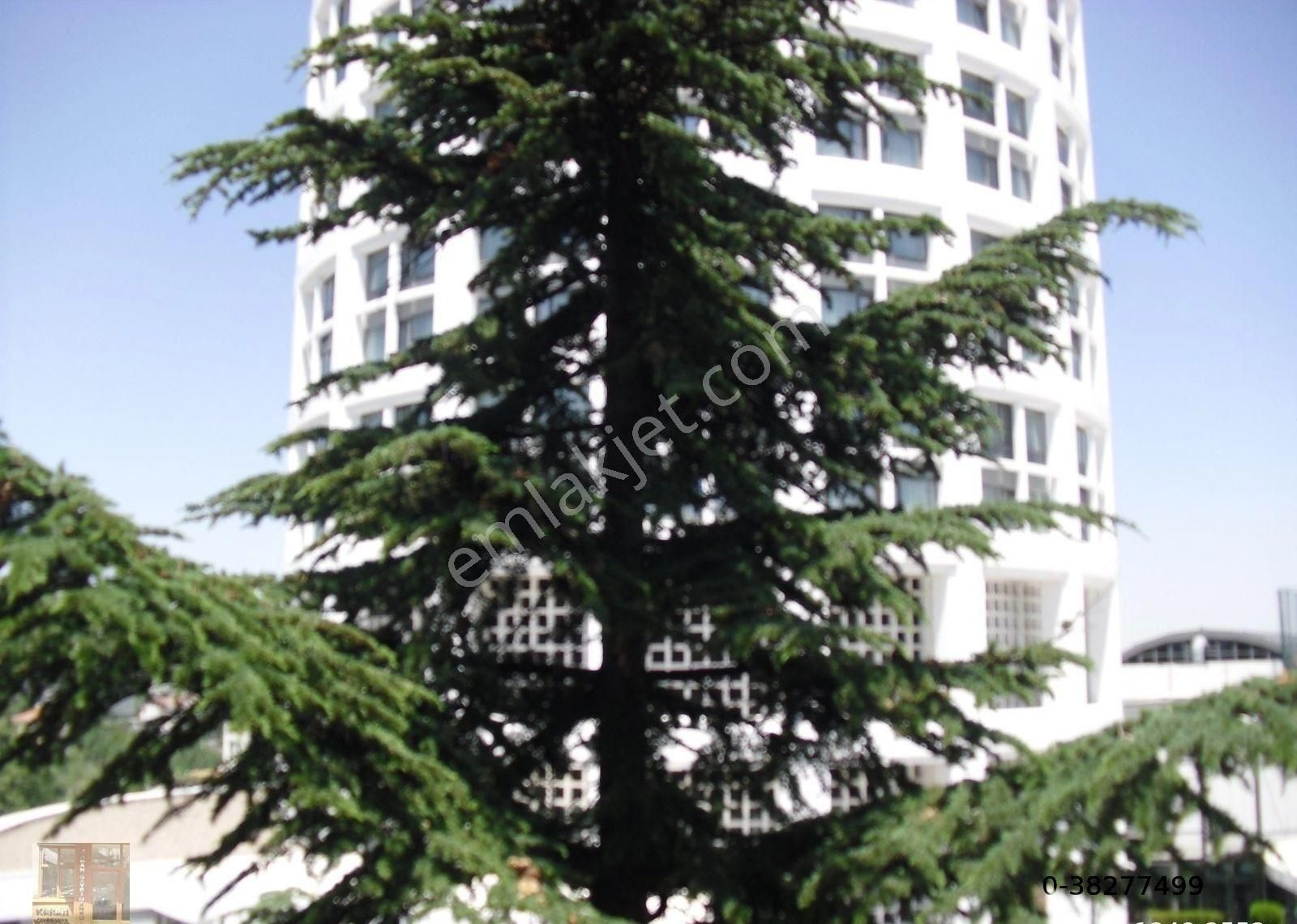 Gaziosmanpaşa Arjantinde 5+1 Teraslı 350 M2 Lüx Satılık Daire