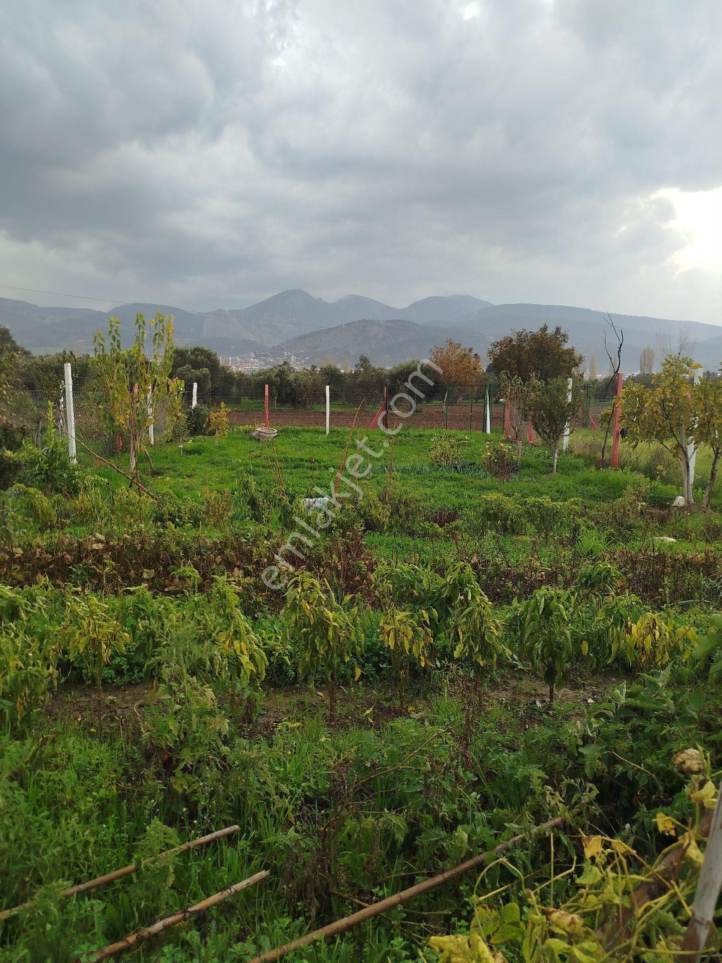 Güzel Konumda Arsa