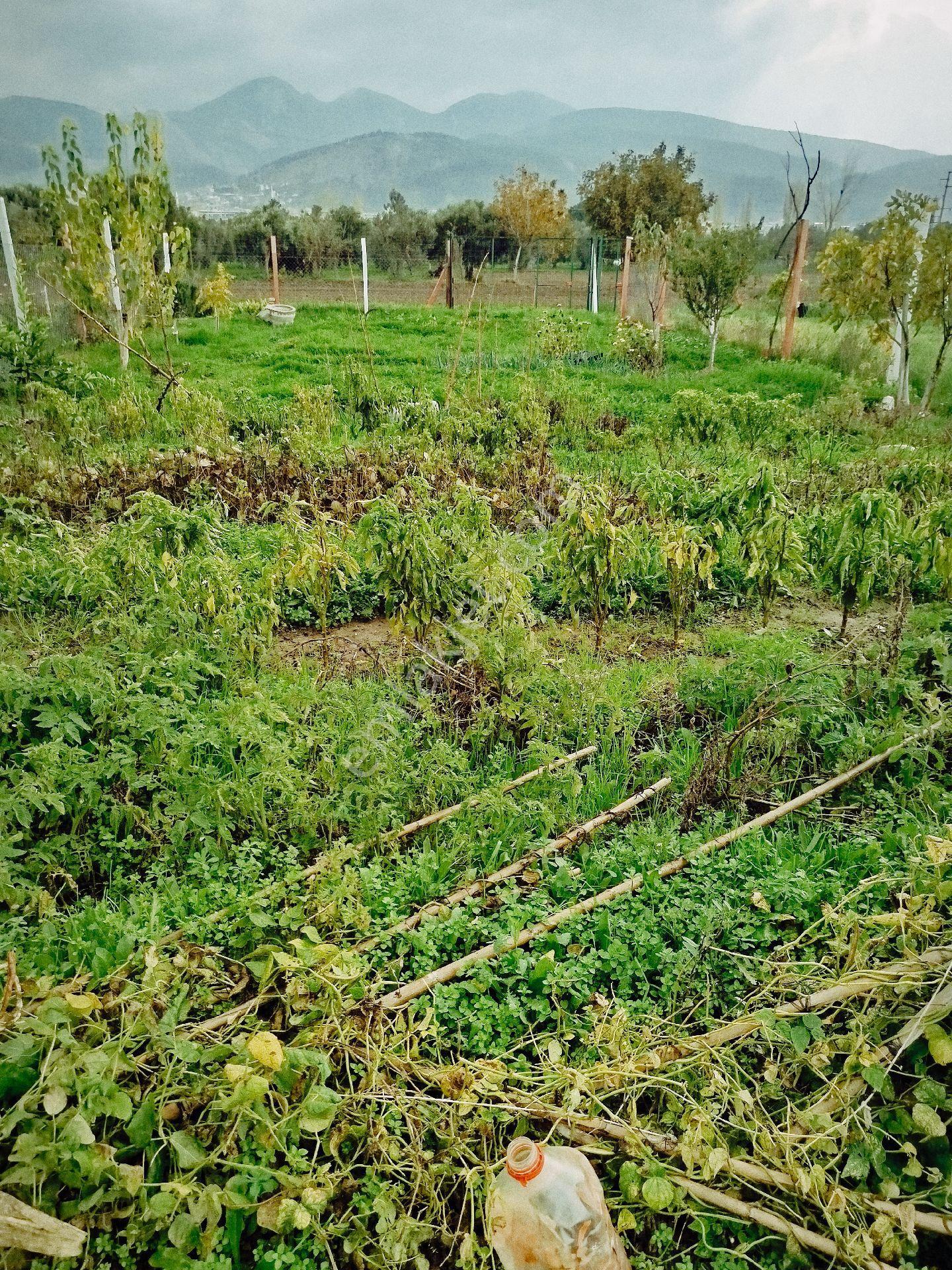 Güzel Konumda Arsa - Görsel 18