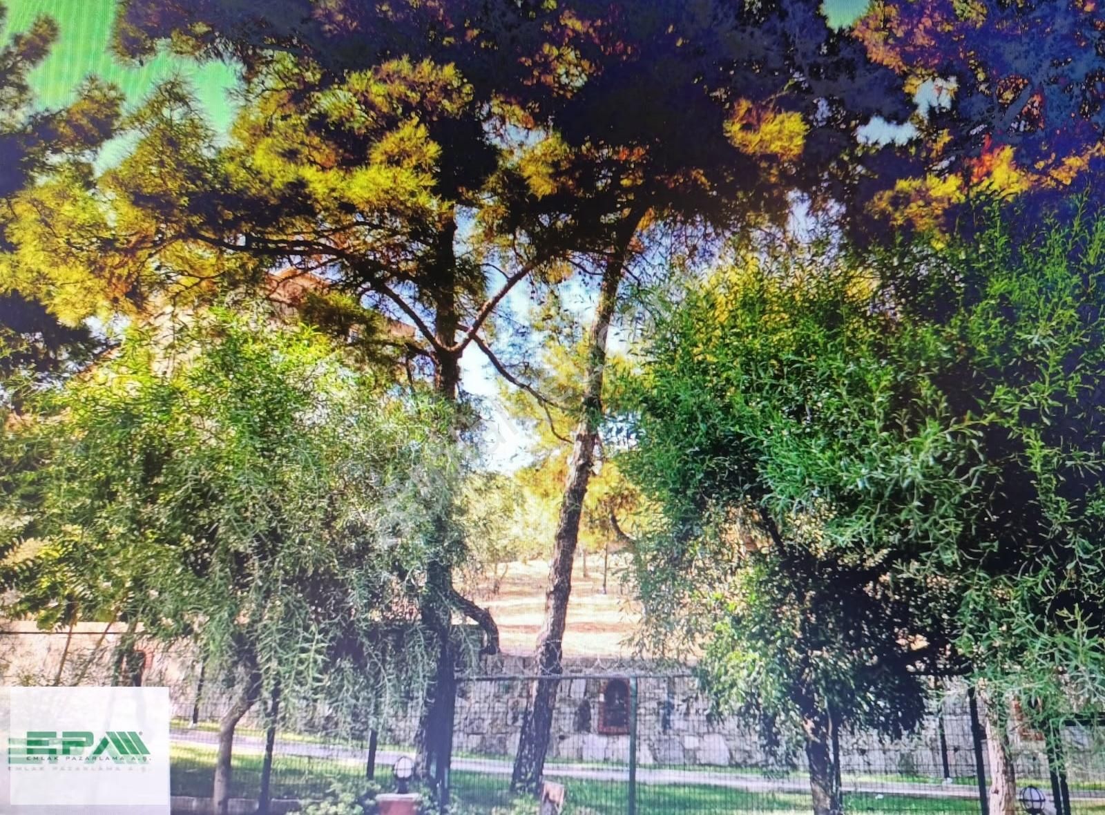 Çamlıkent Sitesi Yeşillikler İçinde Keyif Dolu Satılık 3+1 Daire - Görsel 6