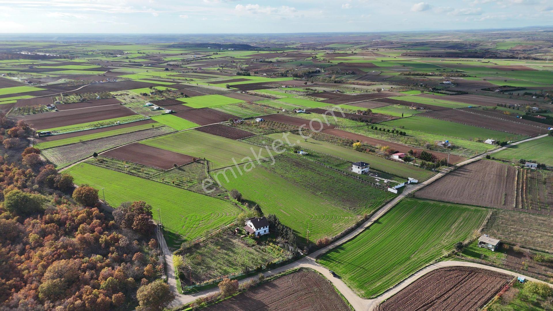 Kırklareli Karahıdır İmara Yakın Su Elektrik Var 7.000 M² Hemen Koru Yanı - Görsel 31