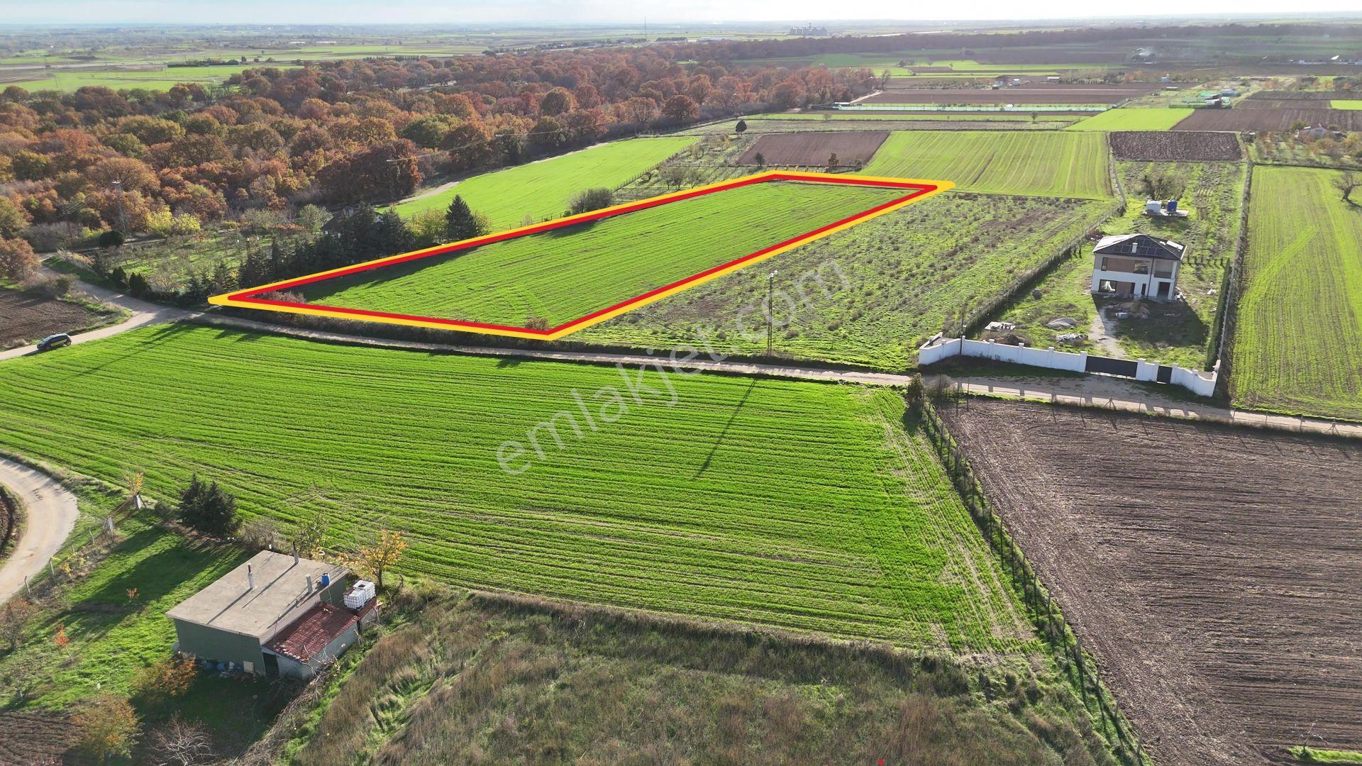 Kırklareli Karahıdır İmara Yakın Su Elektrik Var 7.000 M² Hemen Koru Yanı - Görsel 19