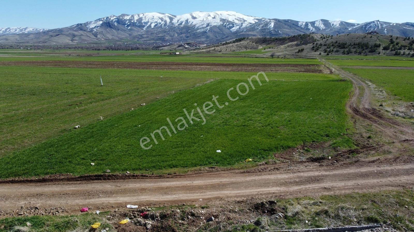 Emre Gm/den Serra Garden Arkasında 2.152 M2 Küçük Parsel - Görsel 2