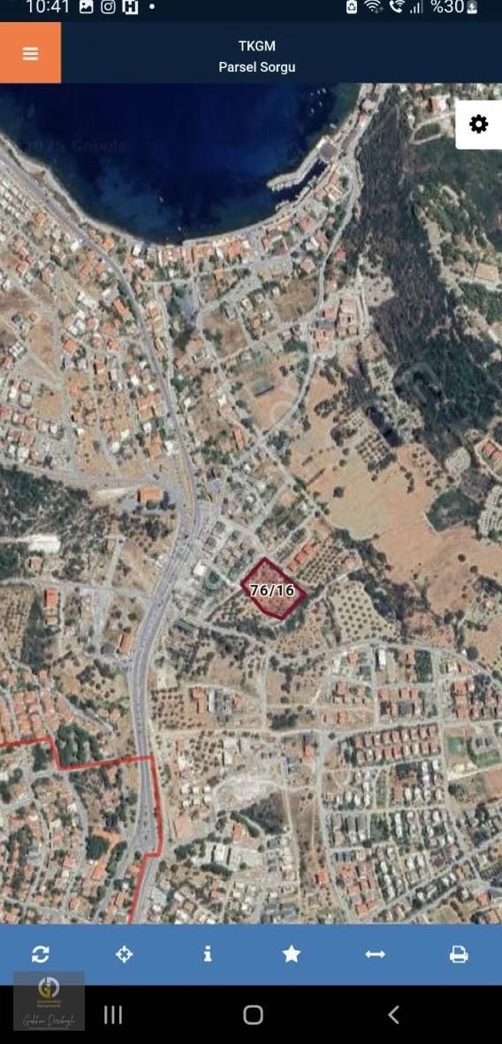 Karaburun İskele Mevki Satılık Yatırım Fırsatı Zeytinlik - Görsel 3