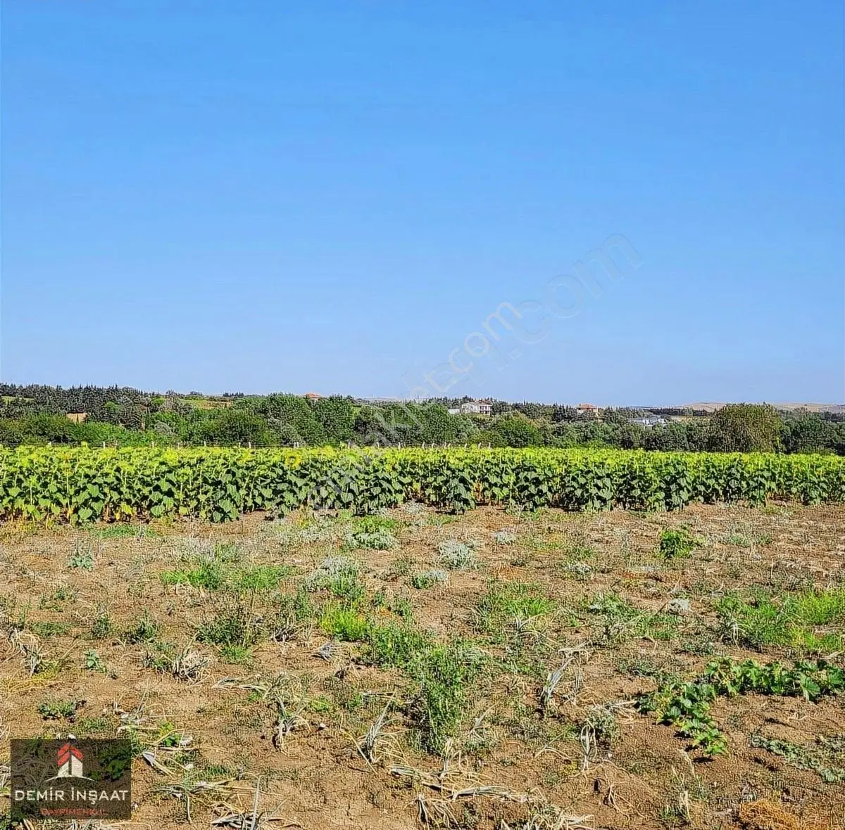 Çatalca Ovayenicede 640m2 Arsa Araç Takaslı - Görsel 2