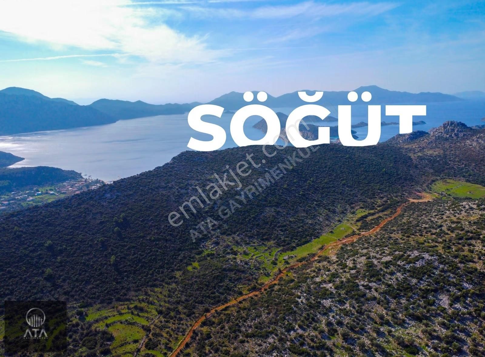 Ata'dan Söğüt Köyü Girişinde 1.036,50 M2 Eğimsiz Ve Düz Tarla