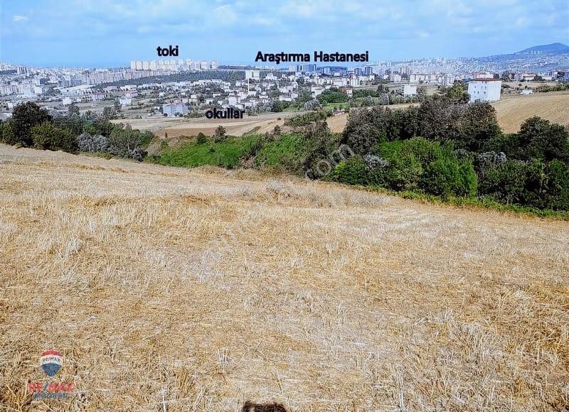 Satılık Arsa | İlkadım Kuşculu Mah 6 Kat İmarlı - Görsel 14