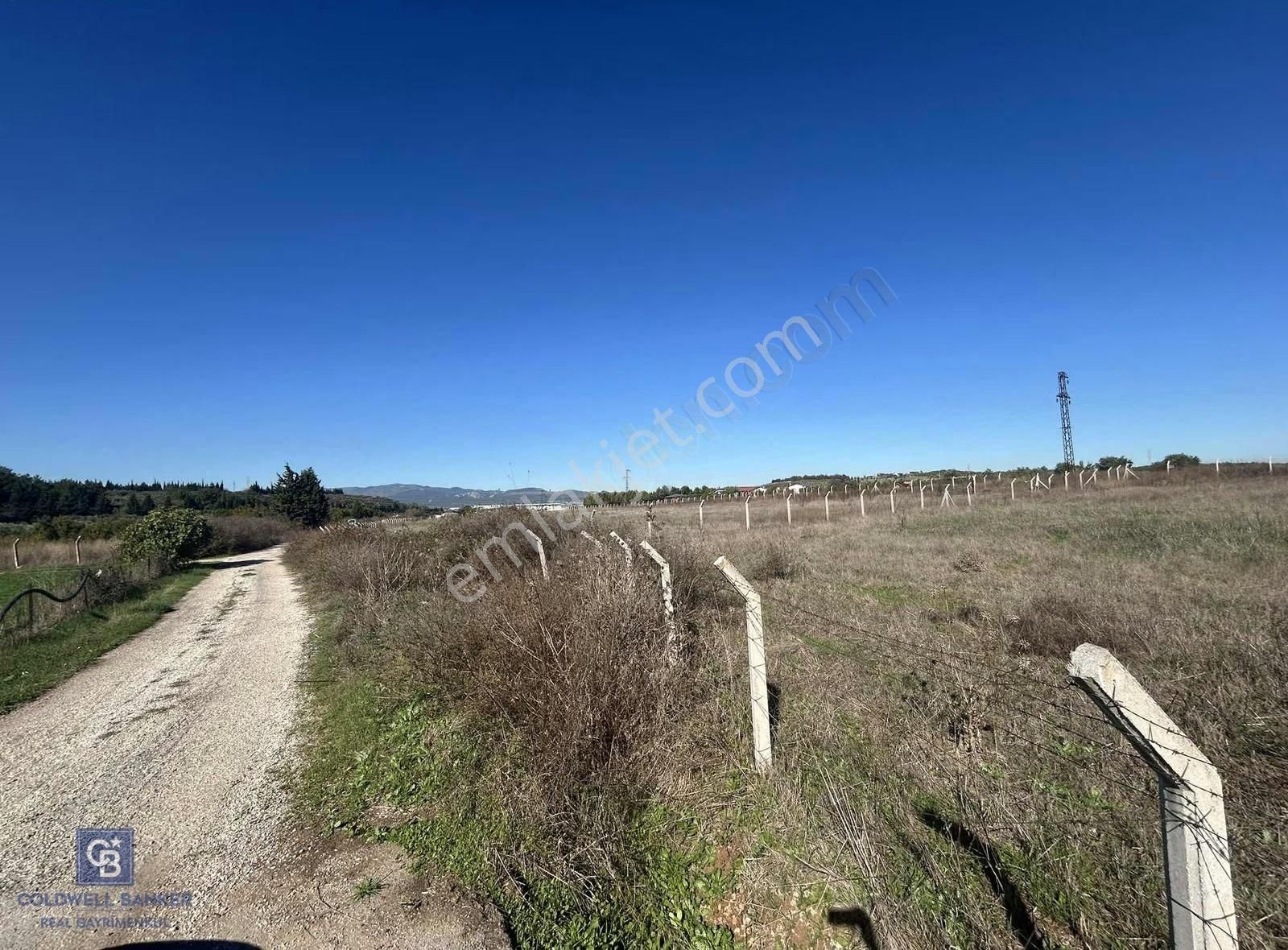 İzmir Menderes Oğlananası 'nda 36.275 M² Satılık Tarla - Görsel 3