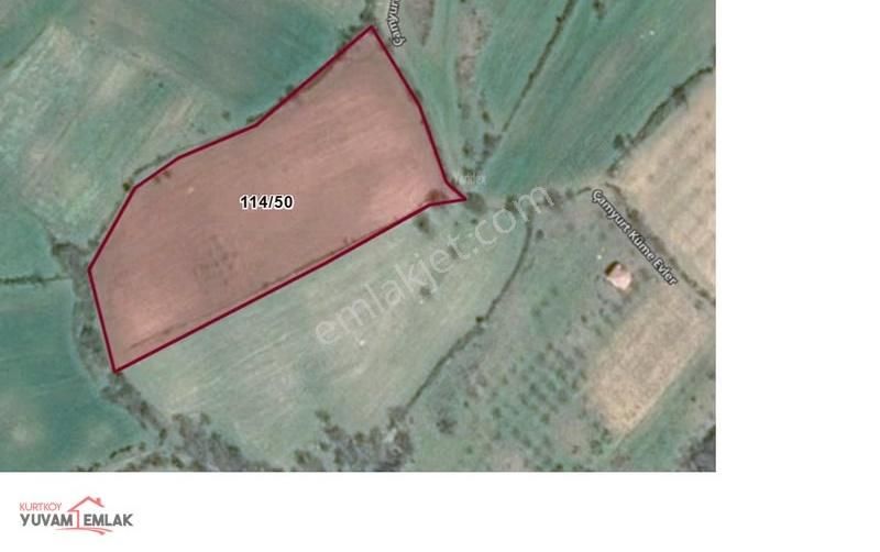 Çanakkale Lapseki 9625 M2 Tarla Çok İyi Yatırım - Görsel 3