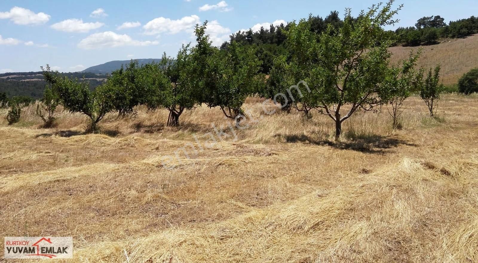 Çanakkale Lapseki 9625 M2 Tarla Çok İyi Yatırım - Görsel 2