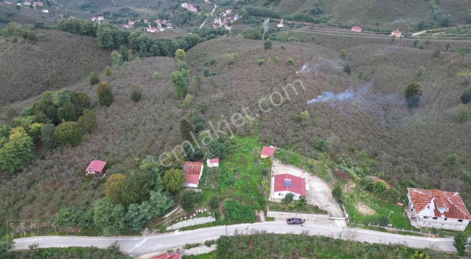 Century 21den Yukarıtepe'de Ordu Manzaralı Arazi! - Görsel 5