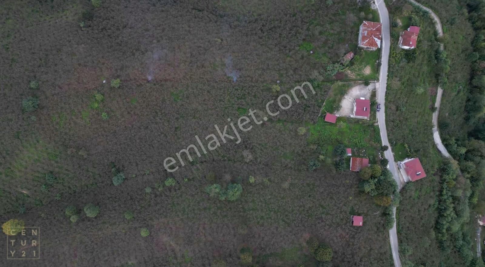 Century 21den Yukarıtepe'de Ordu Manzaralı Arazi! - Görsel 6