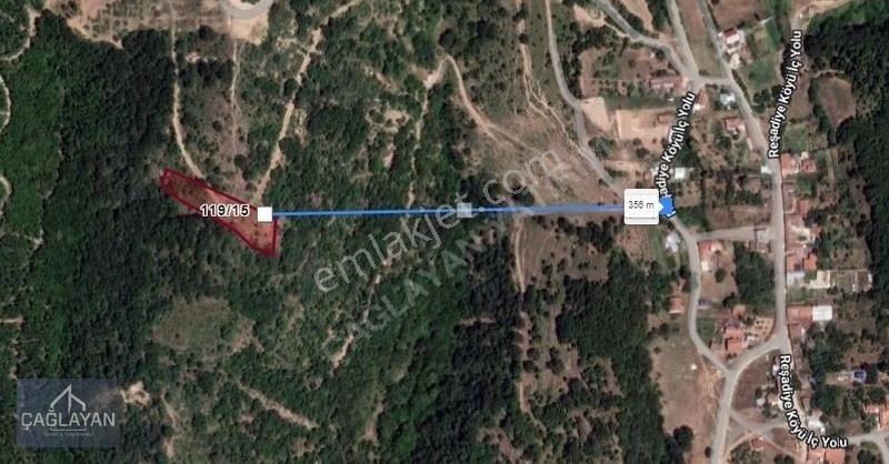 Reşadiye'de Tek Tapu Yatırım Fırsatı 2657 M'2 Satılık Tarla - Görsel 2