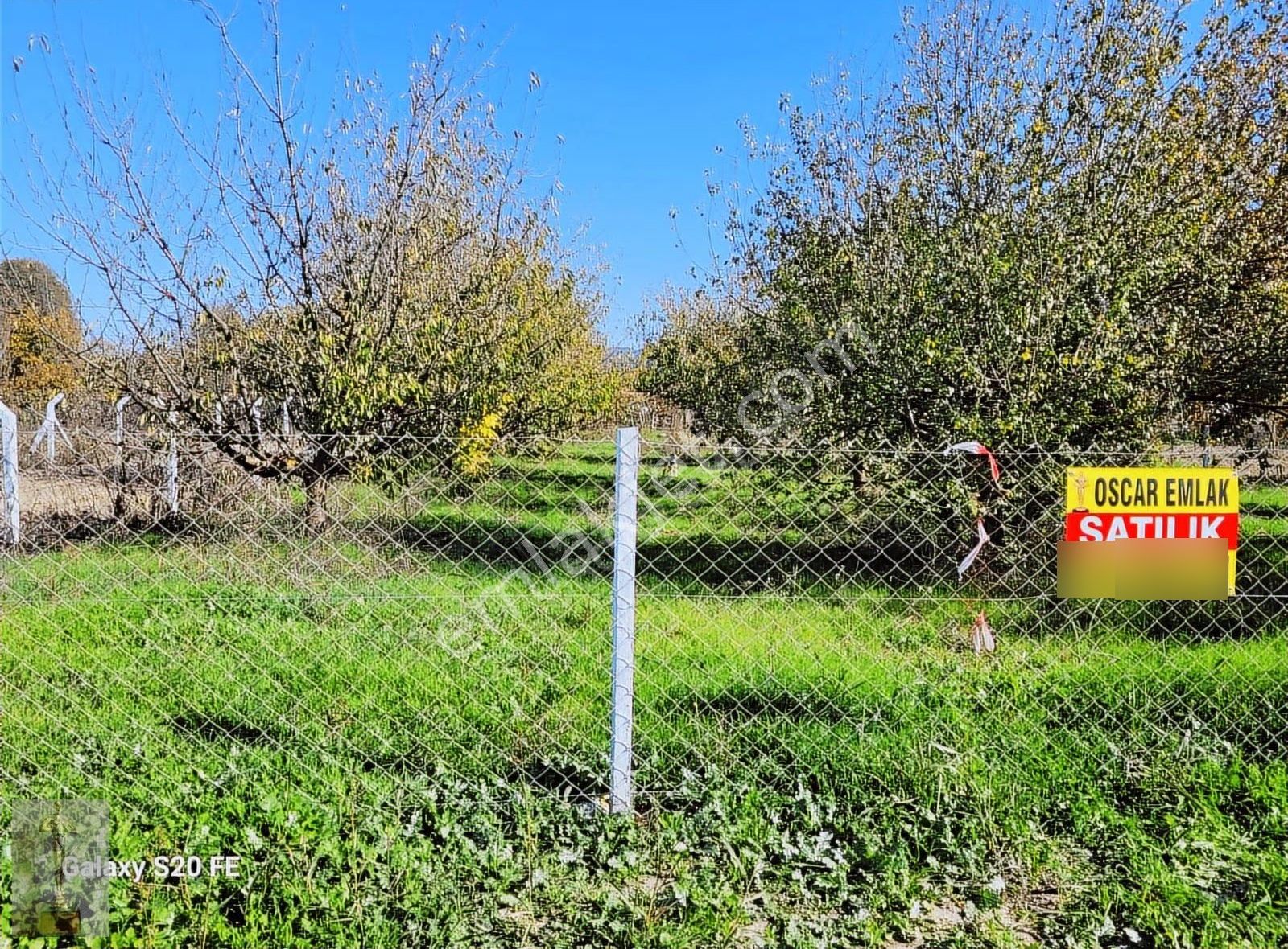 Kirazlıda Yola Cepheli