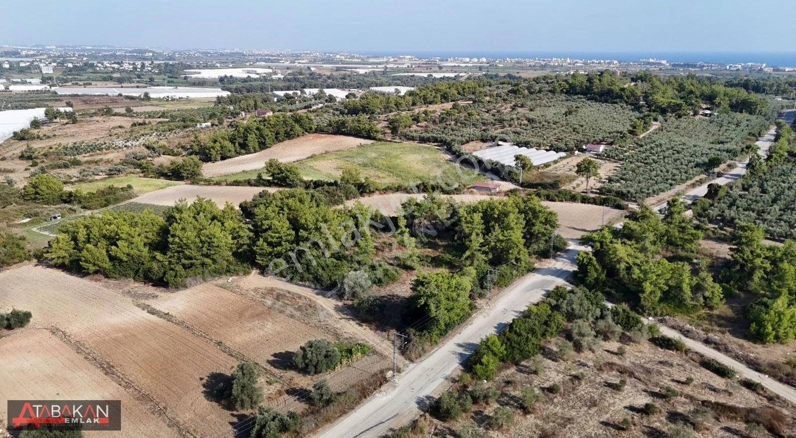 Manavgat Gündoğdu Kısalar Arasında Konumu Güzel Hisse Tapu Arazi - Görsel 2