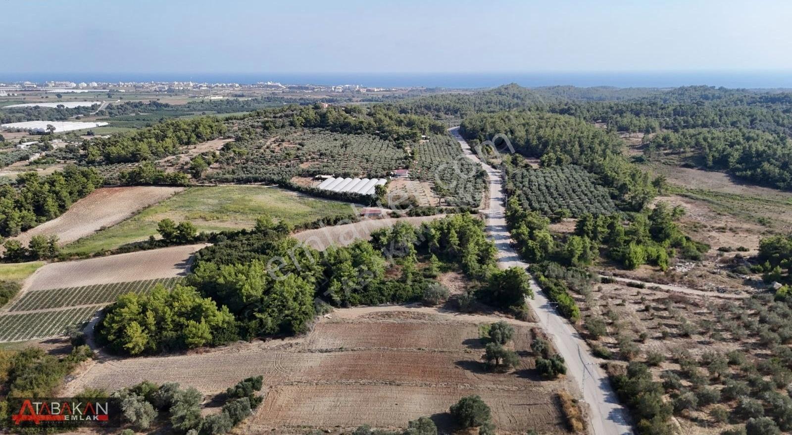 Manavgat Gündoğdu Kısalar Arasında Konumu Güzel Hisse Tapu Arazi - Görsel 4