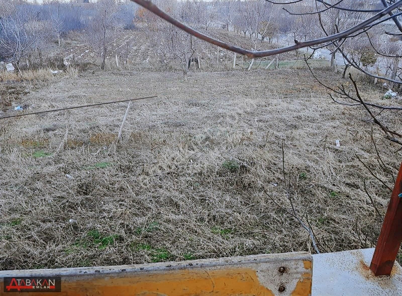 Taraşcı Da 938 M2 Bahçe İçerisinde Müstakil Ev - Görsel 10
