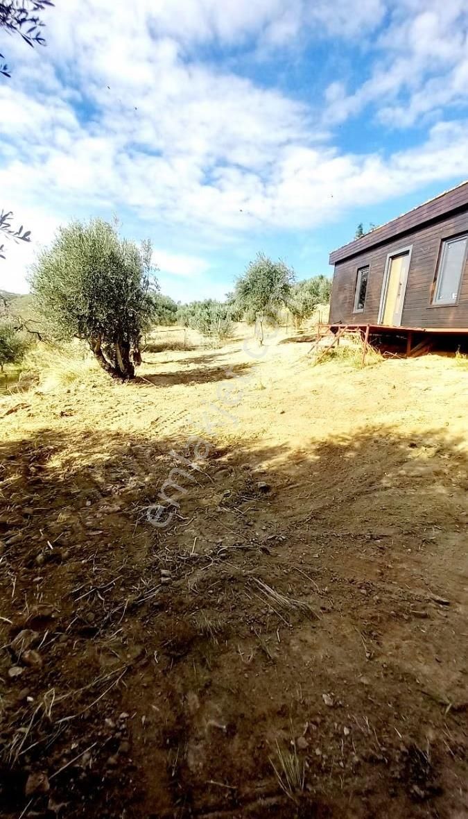 Manavgat Tilkiler Köyü Satılık1+1 Ev Ve Arsa - Görsel 9