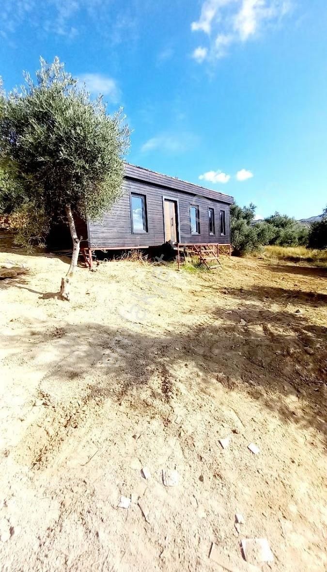 Manavgat Tilkiler Köyü Satılık1+1 Ev Ve Arsa - Görsel 16