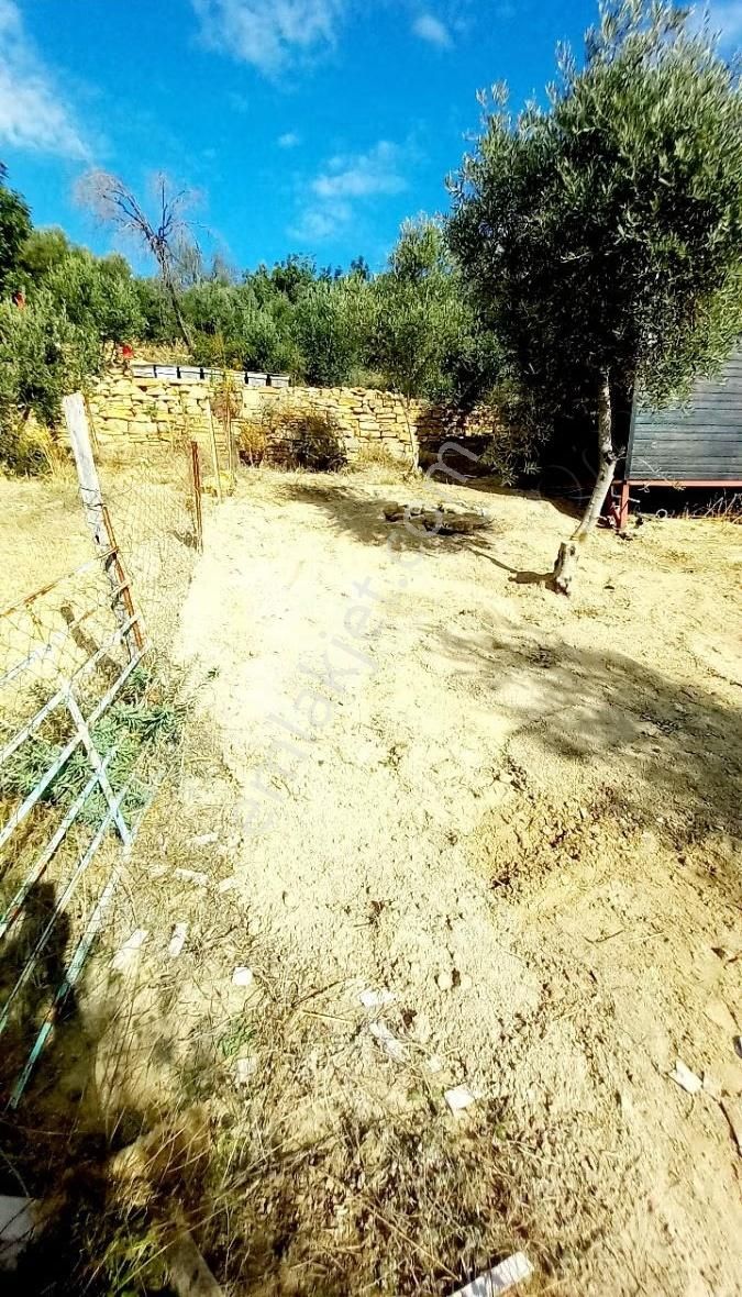 Manavgat Tilkiler Köyü Satılık1+1 Ev Ve Arsa - Görsel 17