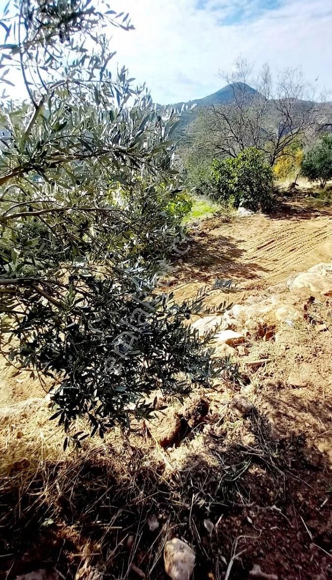 Manavgat Tilkiler Köyü Satılık1+1 Ev Ve Arsa - Görsel 20