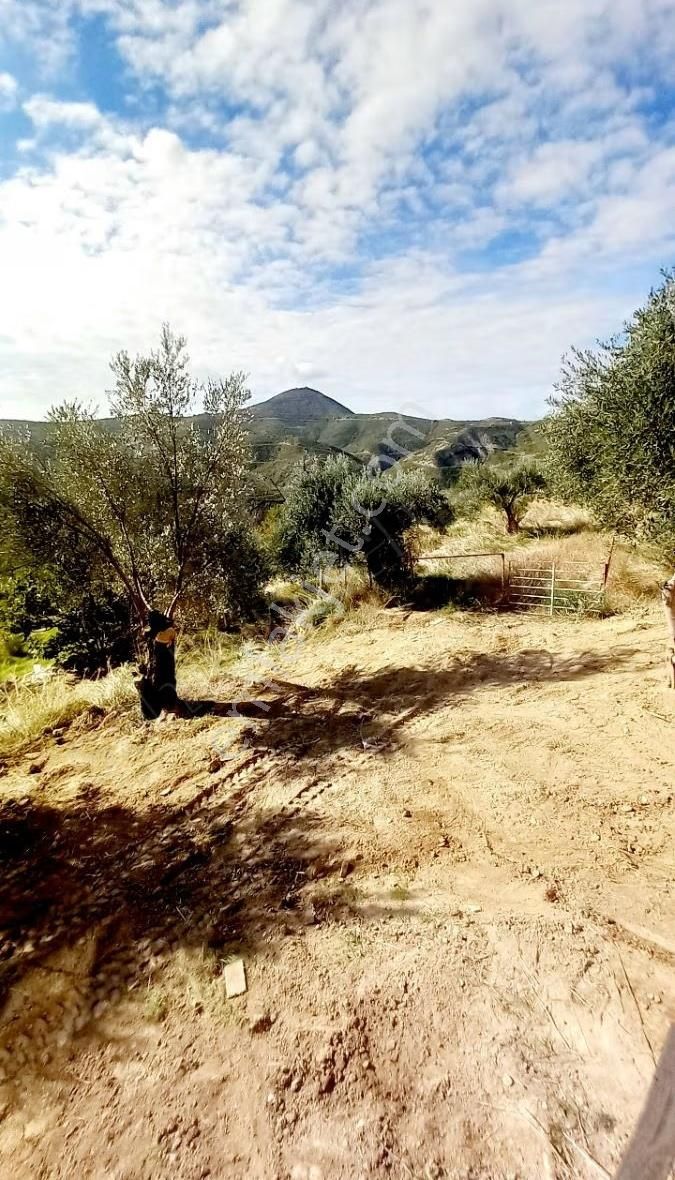 Manavgat Tilkiler Köyü Satılık1+1 Ev Ve Arsa - Görsel 4