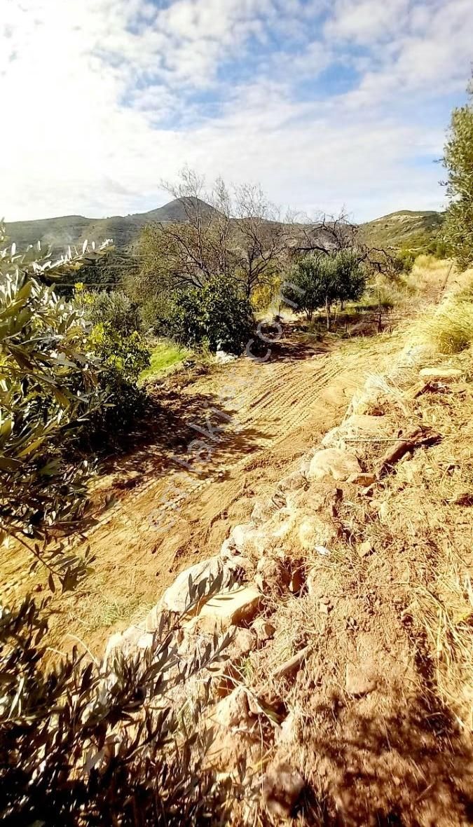 Manavgat Tilkiler Köyü Satılık1+1 Ev Ve Arsa - Görsel 18