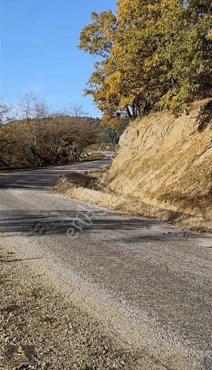 Ars'den Satılık Buldan Çatak Fırsat Arazi 5000 M2 Manzaralı - Görsel 20