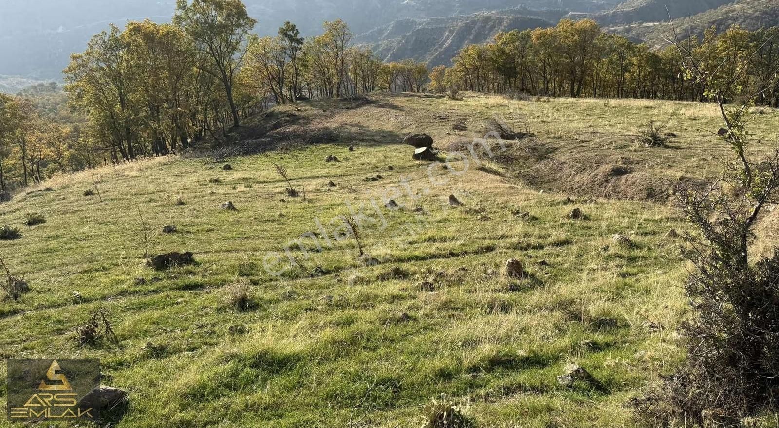 Ars'den Satılık Buldan Çatak Fırsat Arazi 5000 M2 Manzaralı - Görsel 23