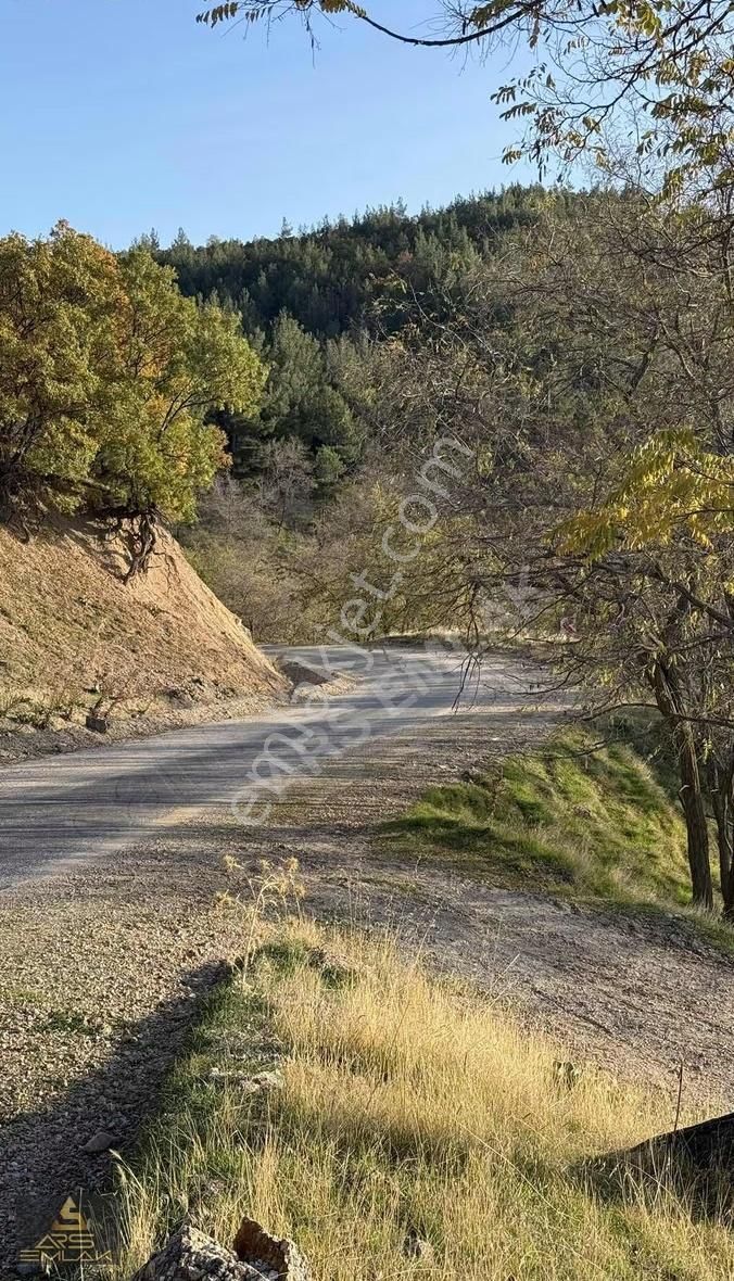 Ars'den Satılık Buldan Çatak Fırsat Arazi 5000 M2 Manzaralı - Görsel 13