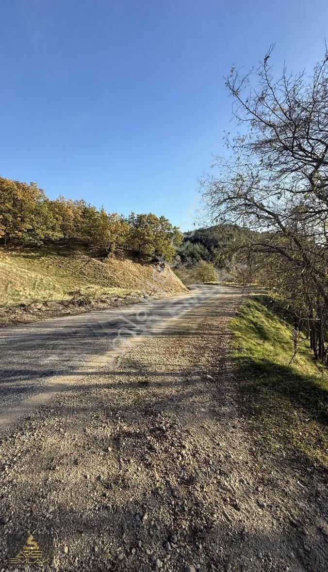 Ars'den Satılık Buldan Çatak Fırsat Arazi 5000 M2 Manzaralı - Görsel 11