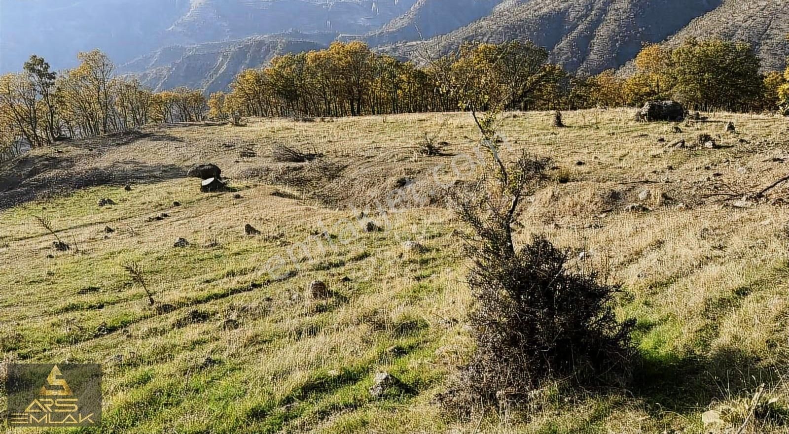 Ars'den Satılık Buldan Çatak Fırsat Arazi 5000 M2 Manzaralı - Görsel 6