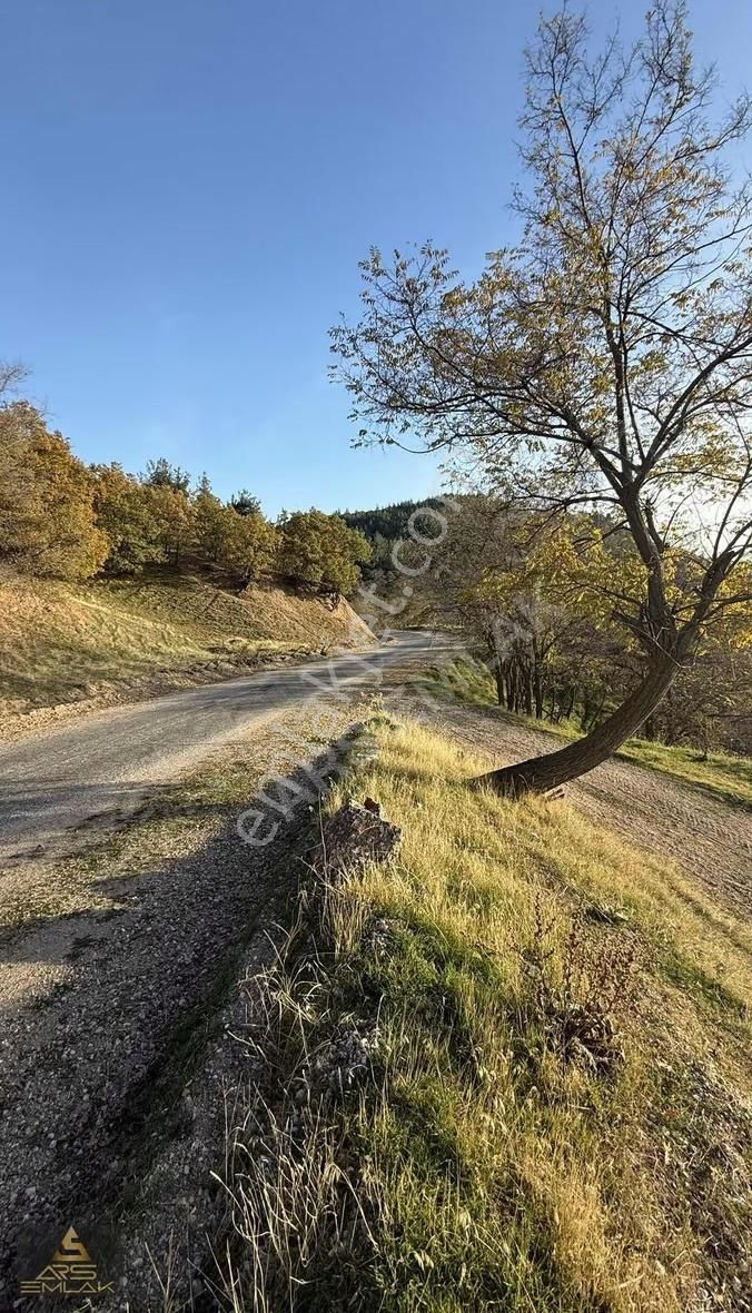 Ars'den Satılık Buldan Çatak Fırsat Arazi 5000 M2 Manzaralı - Görsel 18