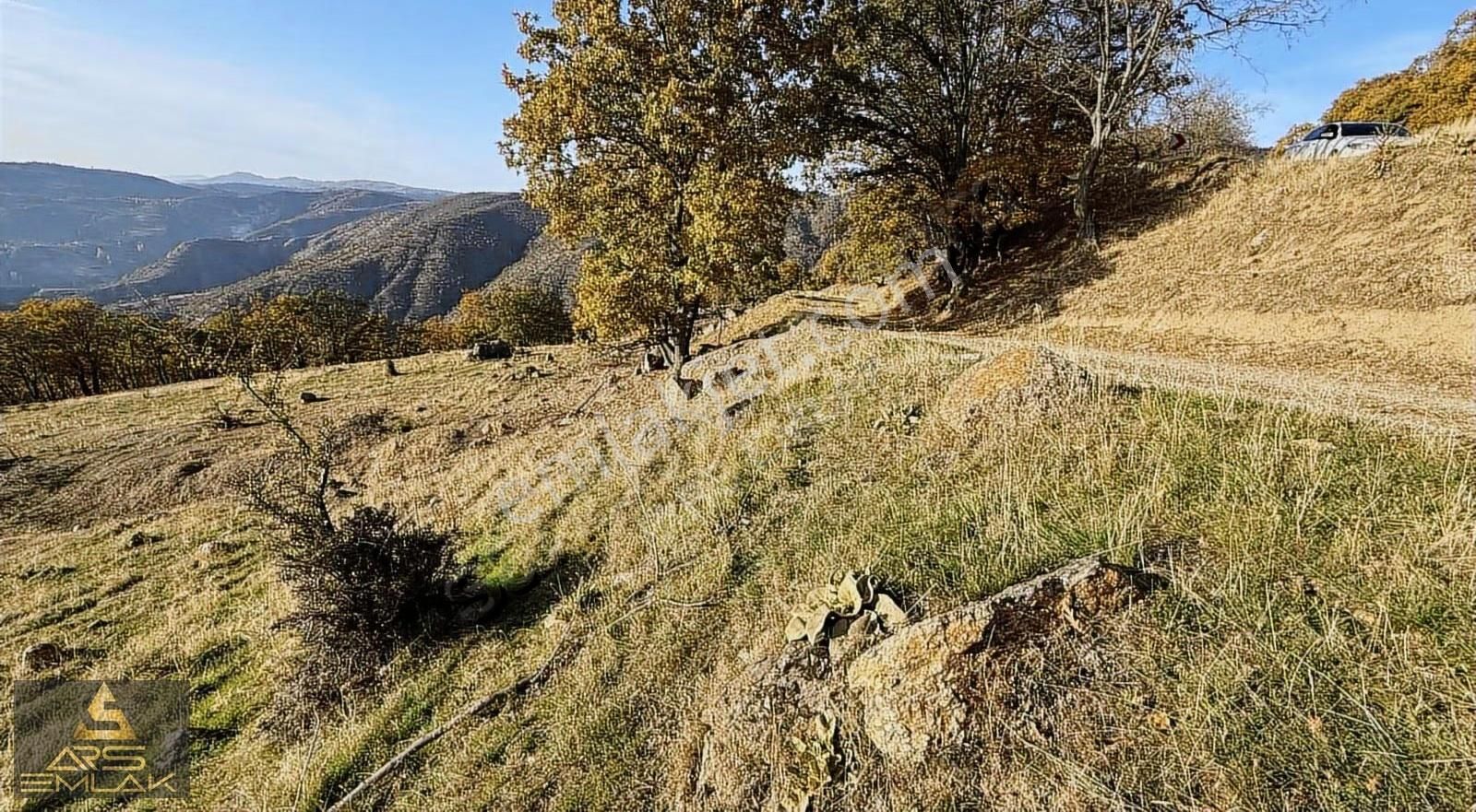 Ars'den Satılık Buldan Çatak Fırsat Arazi 5000 M2 Manzaralı - Görsel 10