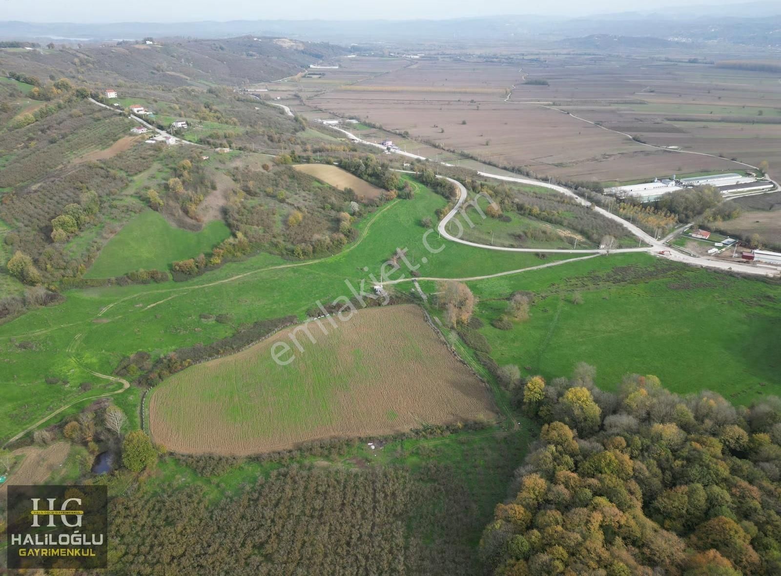 Agacık Mh Girişine Yakın Mantıklı Konumda 3420m2 Yetişkin Fındık - Görsel 7