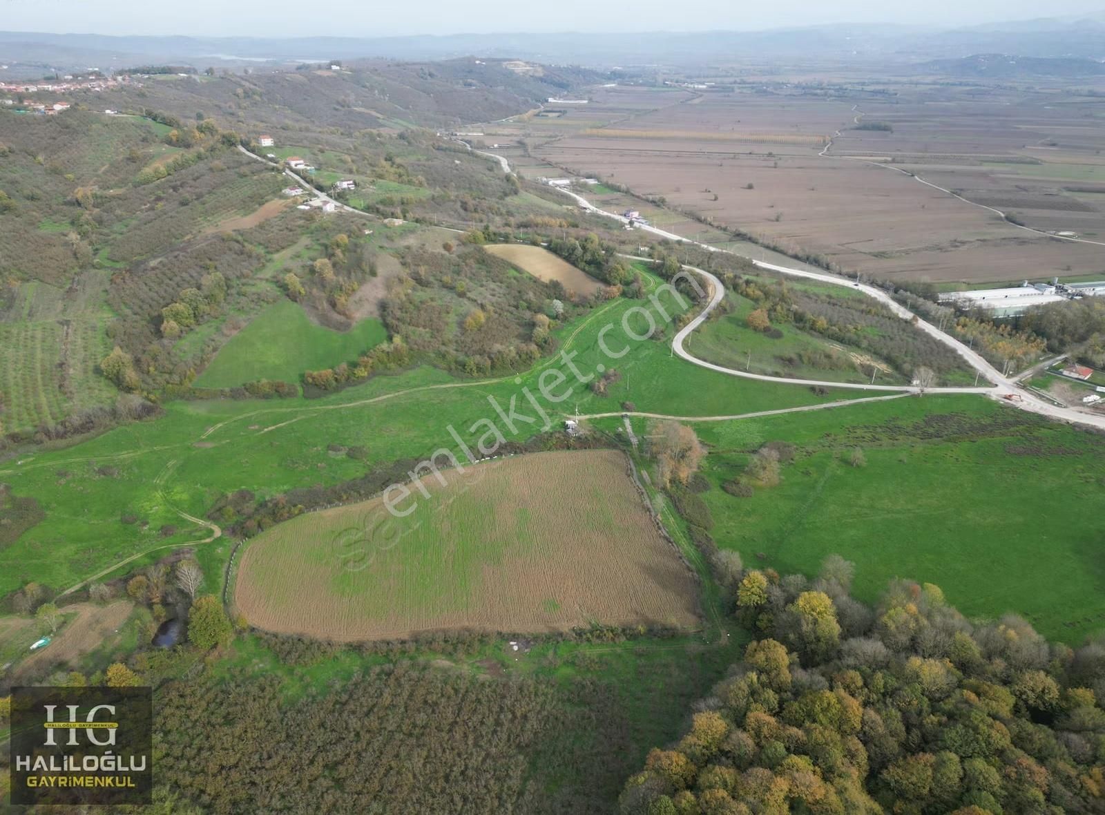 Agacık Mh Girişine Yakın Mantıklı Konumda 3420m2 Yetişkin Fındık - Görsel 6