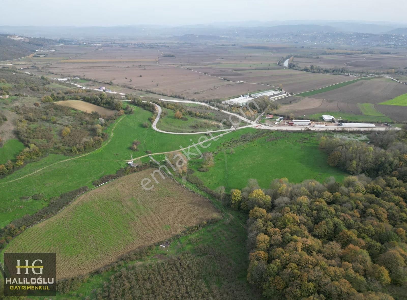 Agacık Mh Girişine Yakın Mantıklı Konumda 3420m2 Yetişkin Fındık - Görsel 9