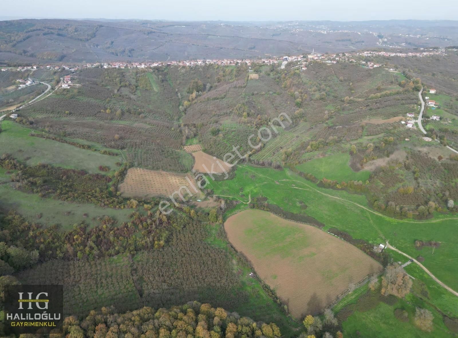 Agacık Mh Girişine Yakın Mantıklı Konumda 3420m2 Yetişkin Fındık - Görsel 11