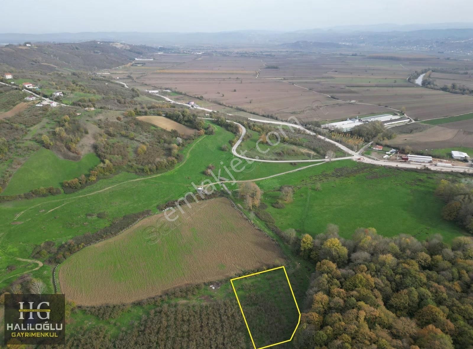 Agacık Mh Girişine Yakın Mantıklı Konumda 3420m2 Yetişkin Fındık